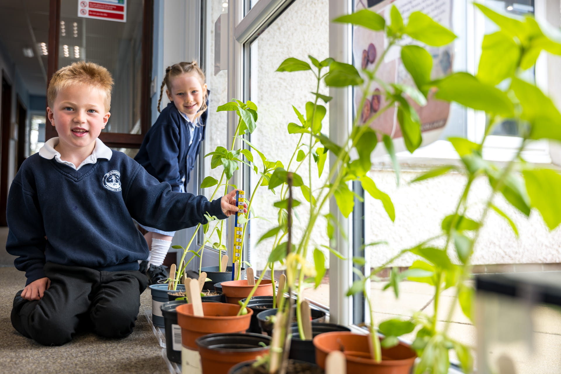 learning at Mevagissey Primary School